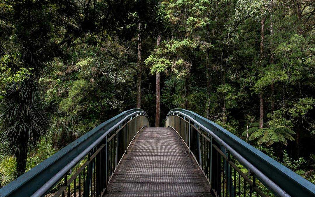 The Road Less Traveled
