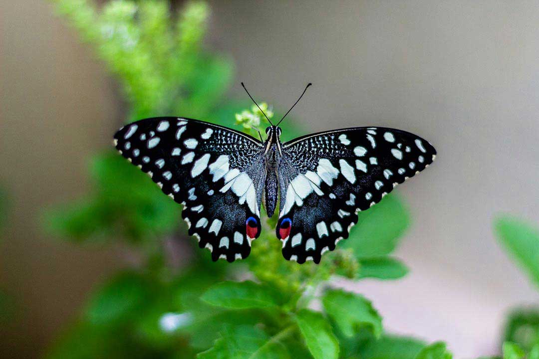 vivek-doshi-PNXnfta-6-4-unsplash